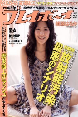 柏杨版资治通鉴